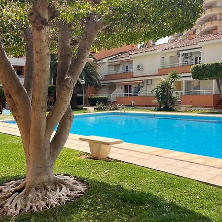 Apartamento Paradise Solo Familias Гандия Экстерьер фото