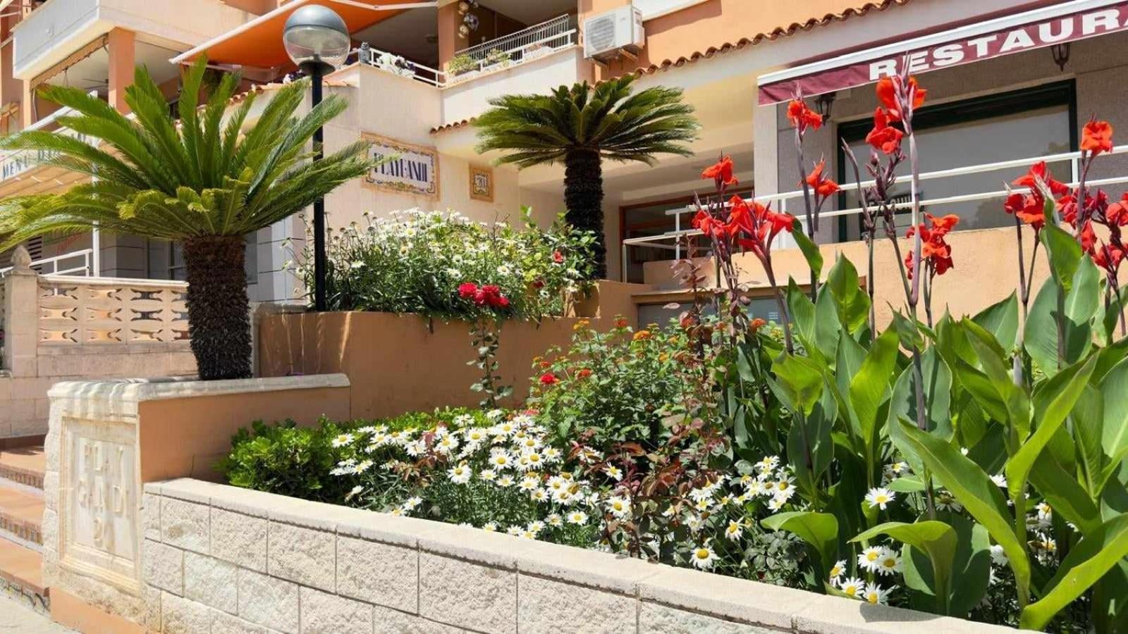 Apartamento Paradise Solo Familias Гандия Экстерьер фото