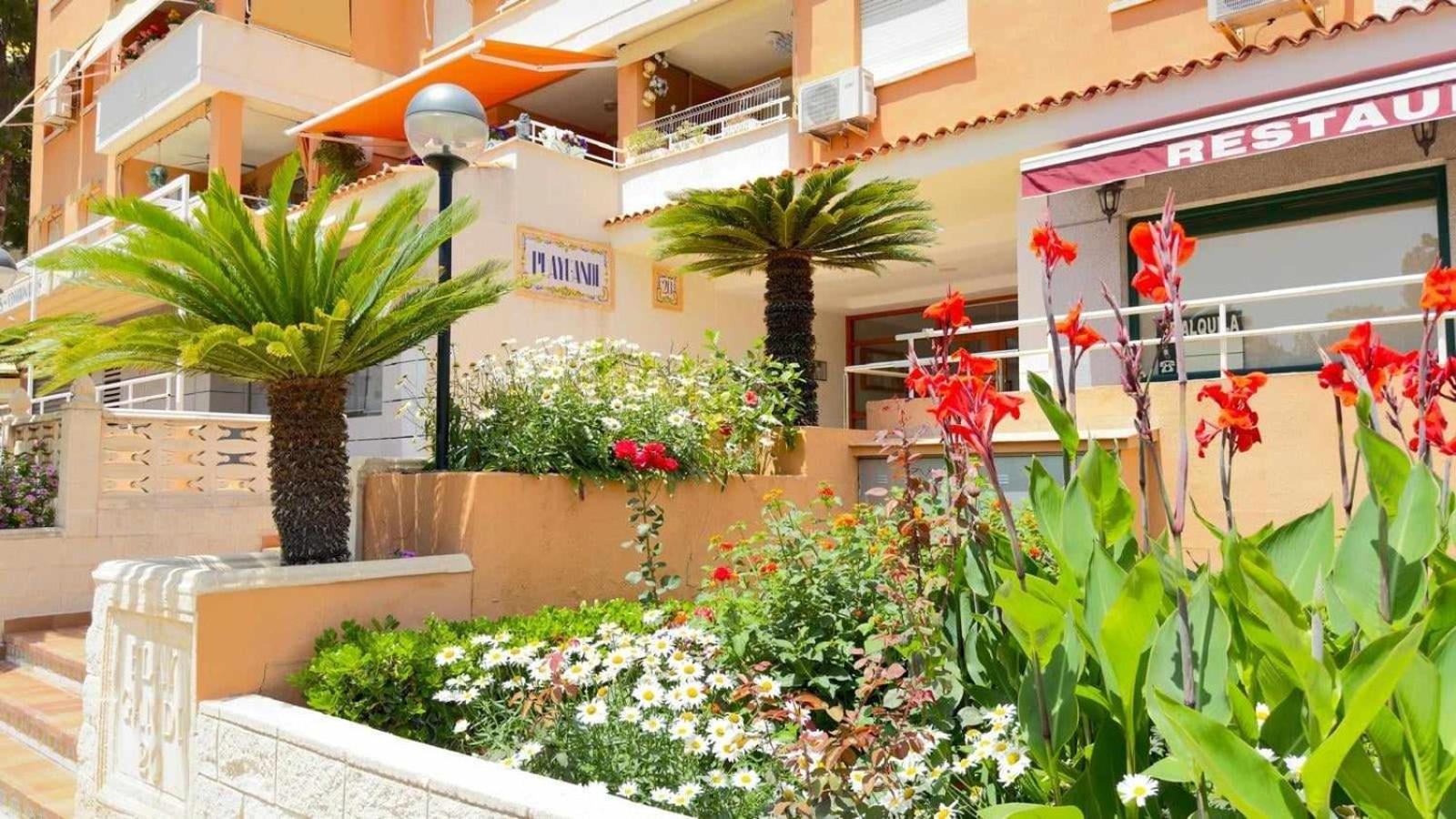 Apartamento Paradise Solo Familias Гандия Экстерьер фото